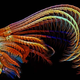 Illustration for article titled The Alien and Eerie Beauty of the Year's Best Microscopic Photos